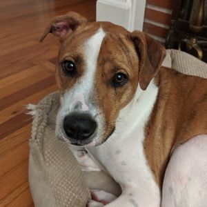 Meet your Posher, Tim